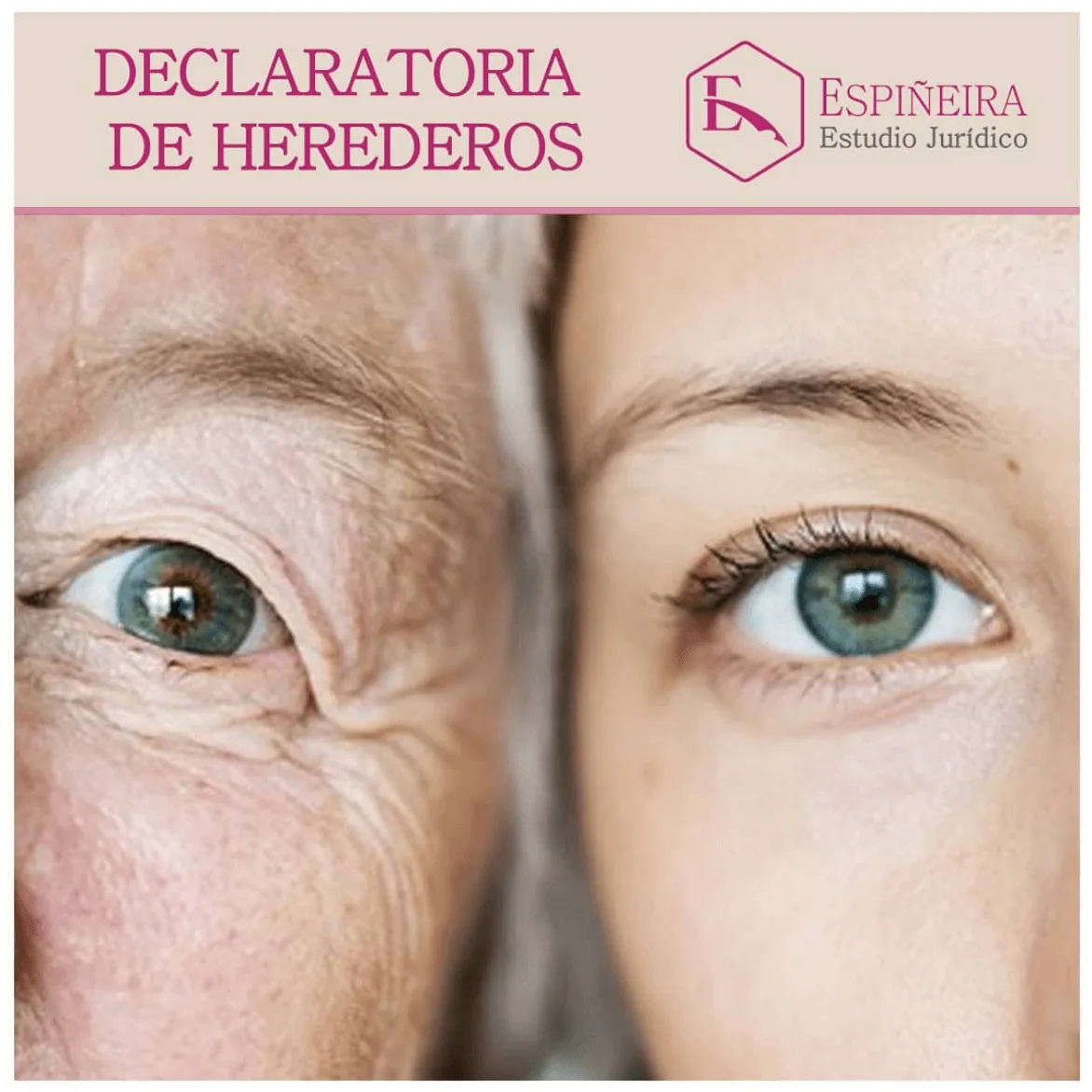 Ilustración de servicio jurídico